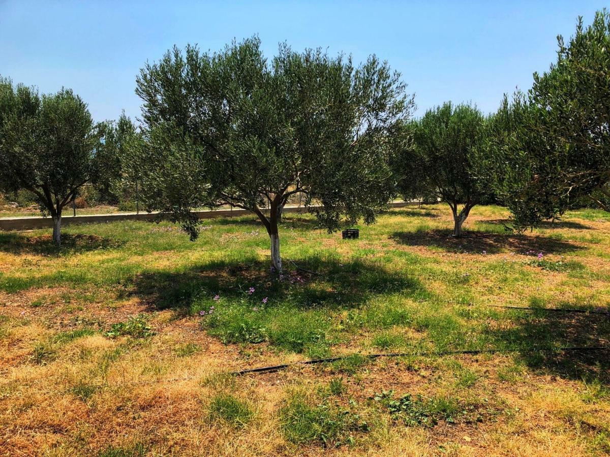 The Hillhouse Near Alexandroupolis Βίλα Εξωτερικό φωτογραφία