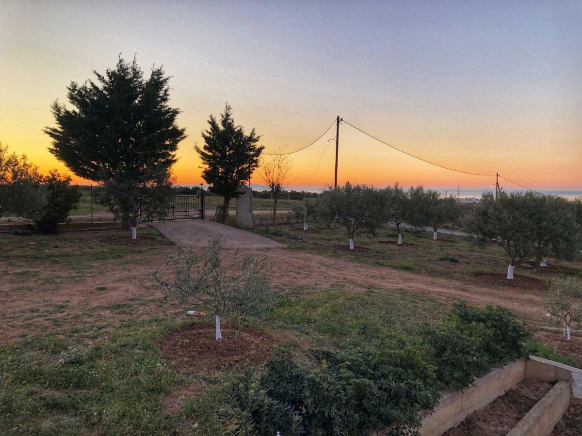 The Hillhouse Near Alexandroupolis Βίλα Εξωτερικό φωτογραφία